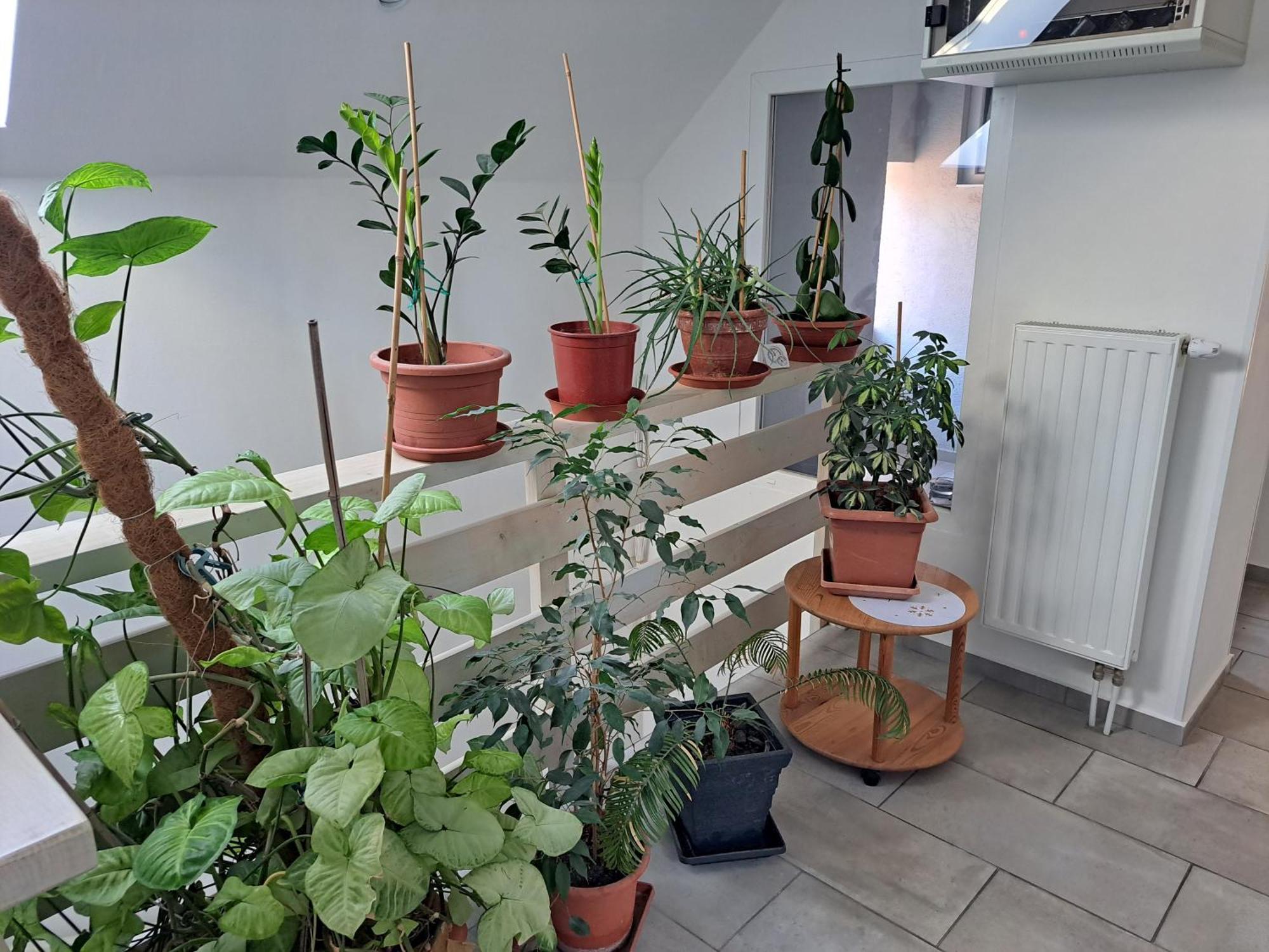 Apartmany Amalia Piest'any Exterior foto